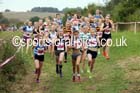 Girls under-13s, Start Fitness North Eastern Harrier League, Tanfield, County Durham. Photo: David T. Hewitson/Sports for All Pics